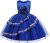 LuckyGirls Robe Fille Élégante Princesse Robes Formelles Baptême Filles Enfants Robe De Mariage Fête Casual Robes sans Manches
